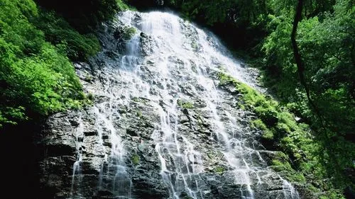 信息化信息化节能
